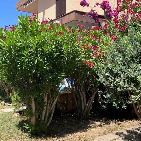 Bilocali Residenza Mediterranea