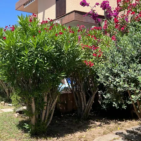 Bilocali Residenza Mediterranea