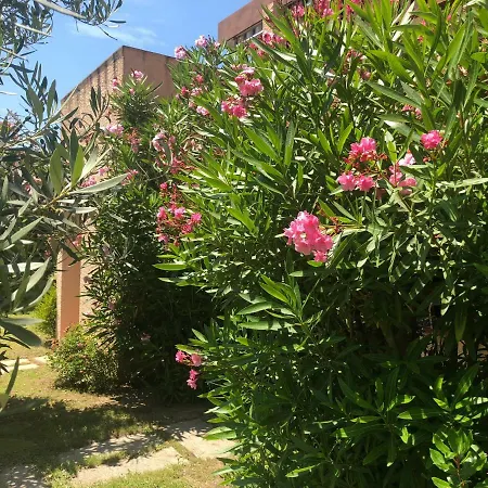 Bilocali Residenza Mediterranea *