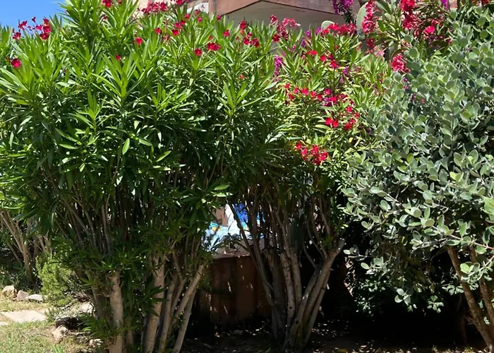 Bilocali Residenza Mediterranea