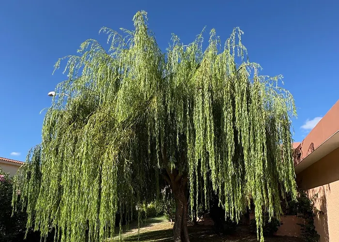 Bilocali Residenza Mediterranea Apartman Cannigione